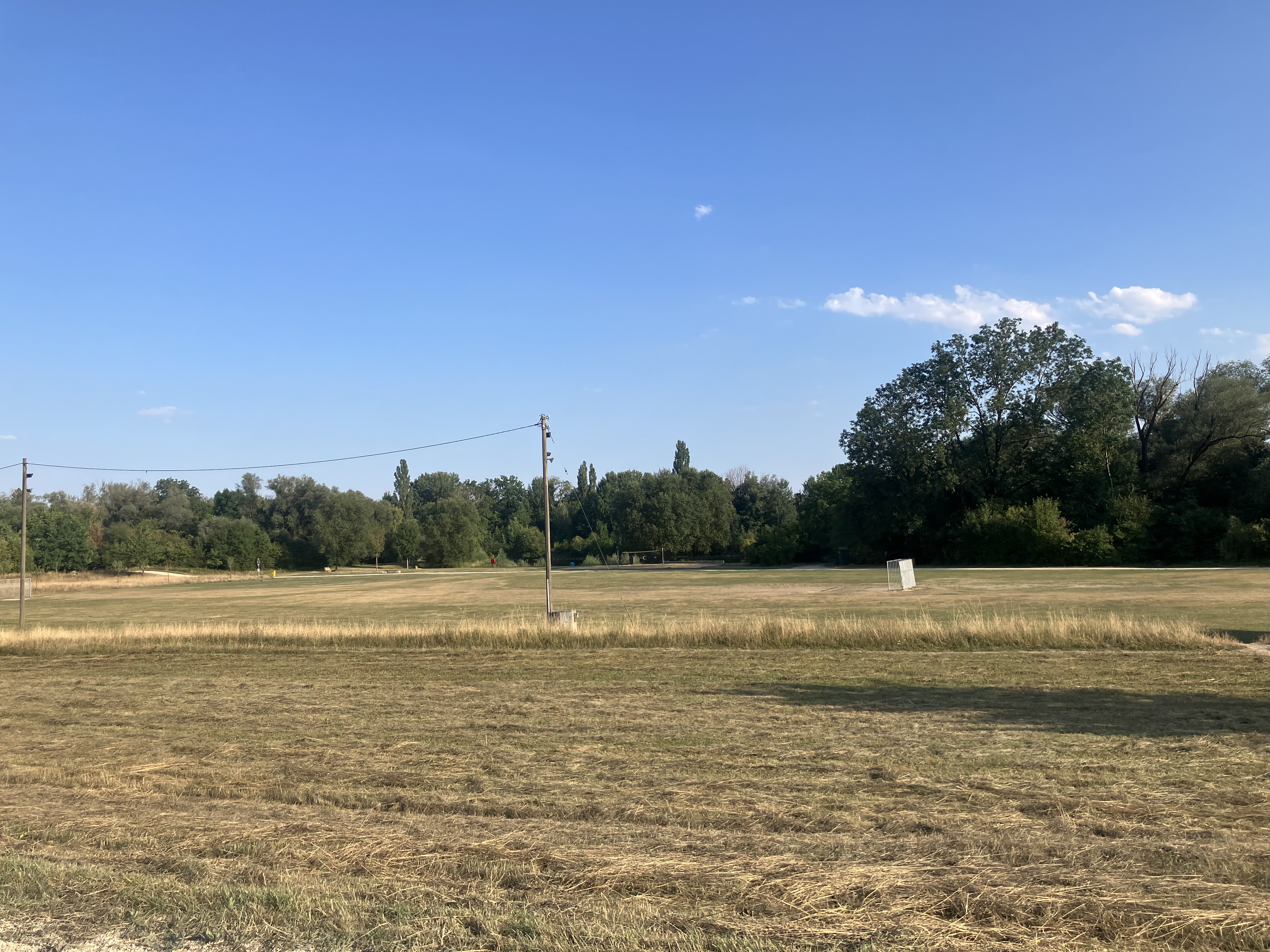 Field