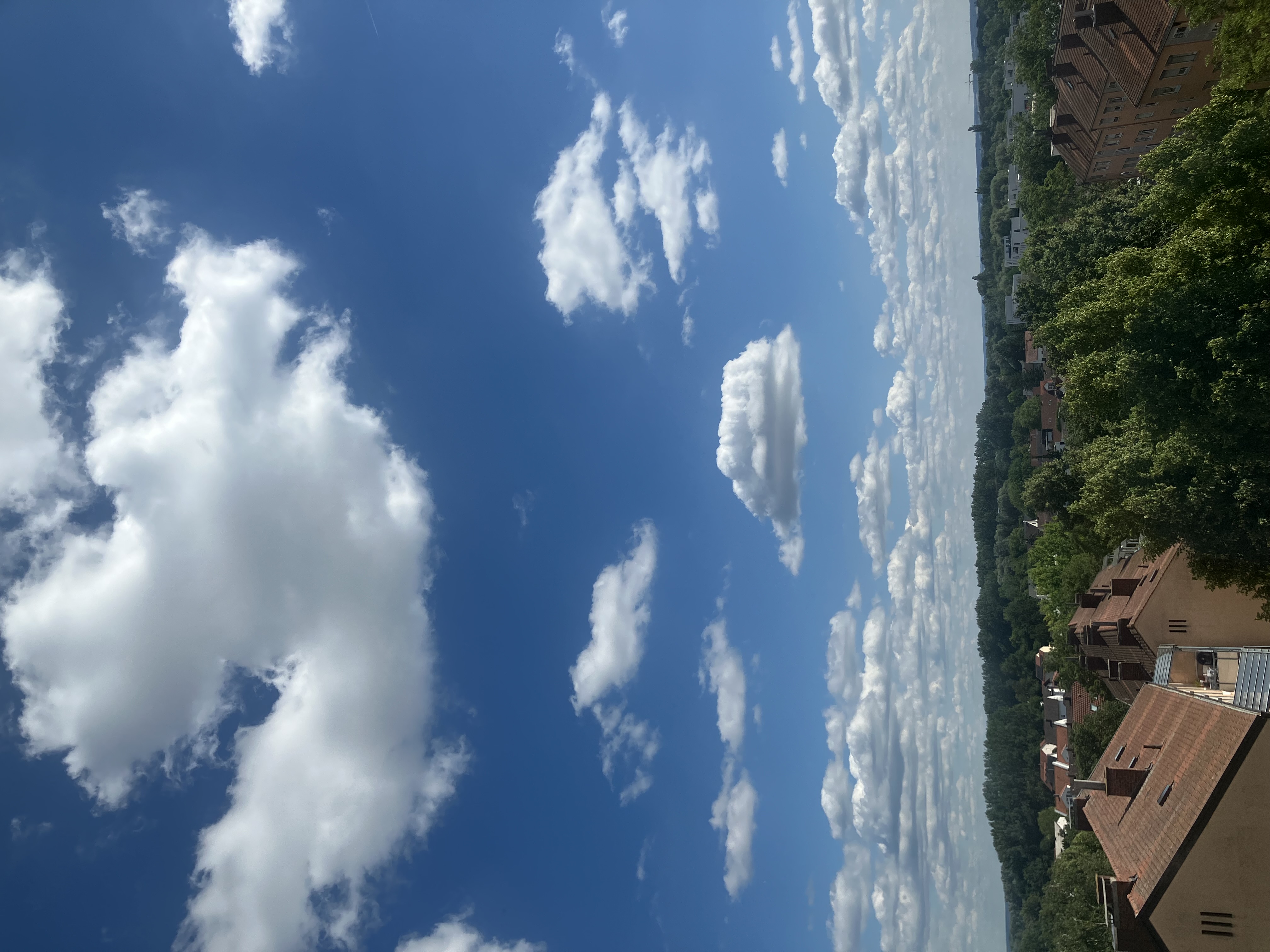 Sky